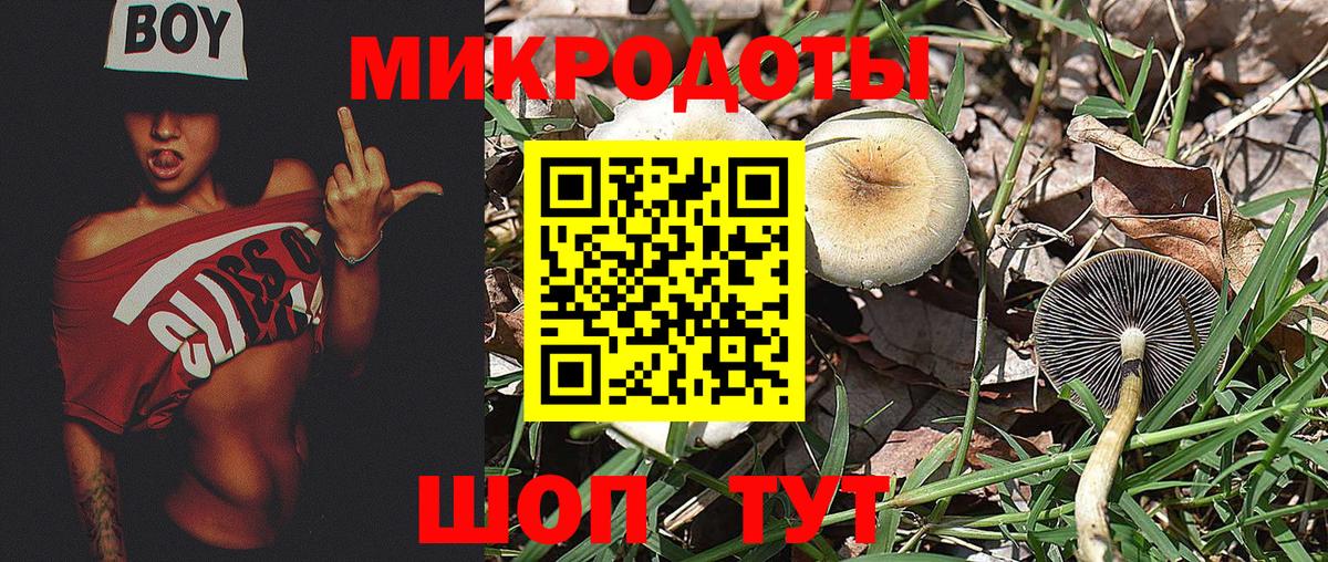 Вышний Волочёк  закладки  Псилоцибиновые грибы мицелий  Вход с VPN  Галлюциногенные грибы Magic Shrooms 